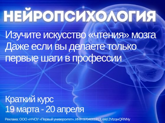 Нейропсихология. Краткий курс.