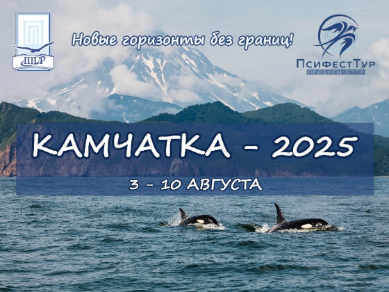 ПсифестТур проект «Камчатка-2025»