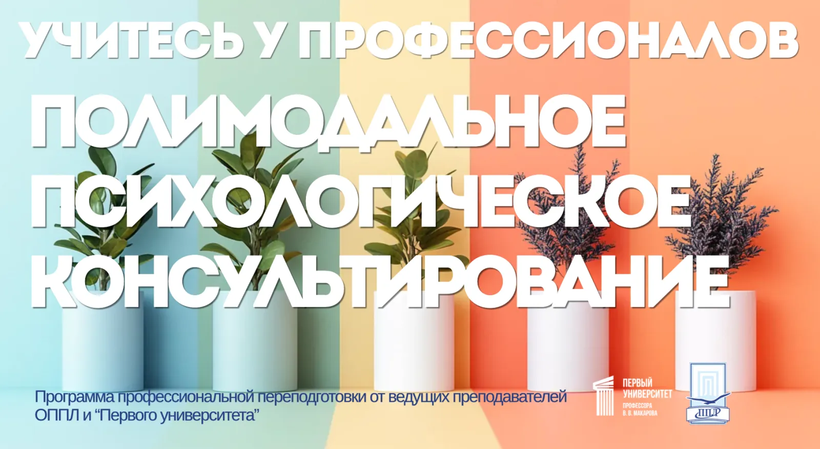 Программа профессиональной переподготовки «Полимодальное психологическое консультирование»