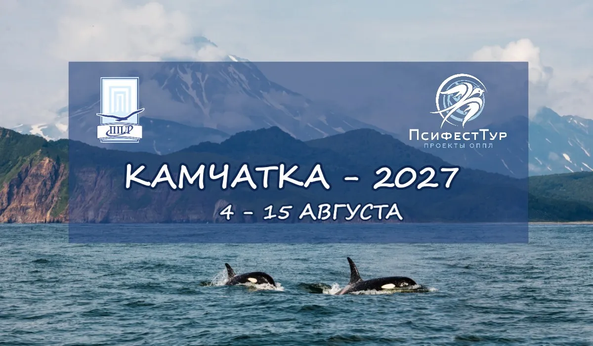 ПсифестТур проект ОППЛ «Камчатка 2027»