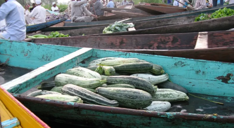 Утренний овощной рынок на озере