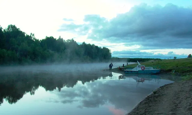 Тара в тумане