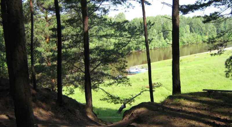 Вид на реку с крутояра