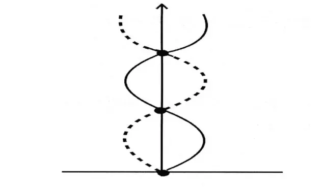рис 1